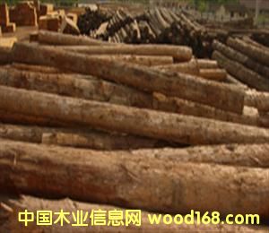 �������ĵ�Ԕ��(x��)��B