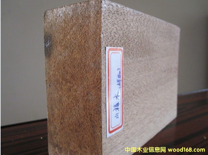 ɽ��ľ��Ԕ����B