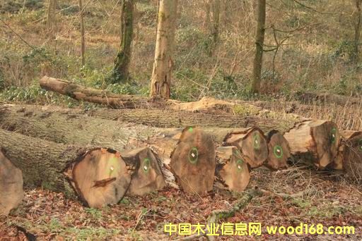 ����ľ��Ԕ��(x��)��B