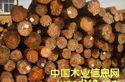 �Ĵ�����ݗ���ɵ�Ԕ����B