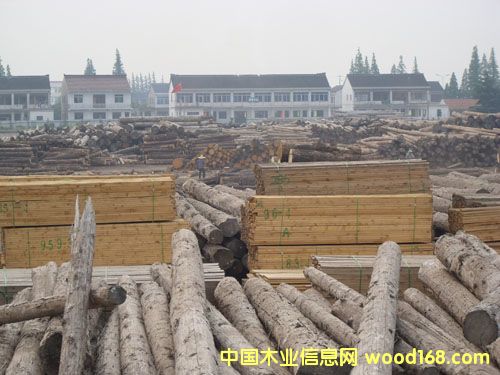 ��ɽľ�����۵�Ԕ����B