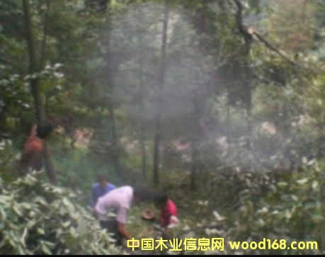 �sľ��(sh��)���Լ�����