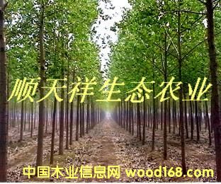 ��(y��u)�|(zh��)��������ľ��Ԕ����B