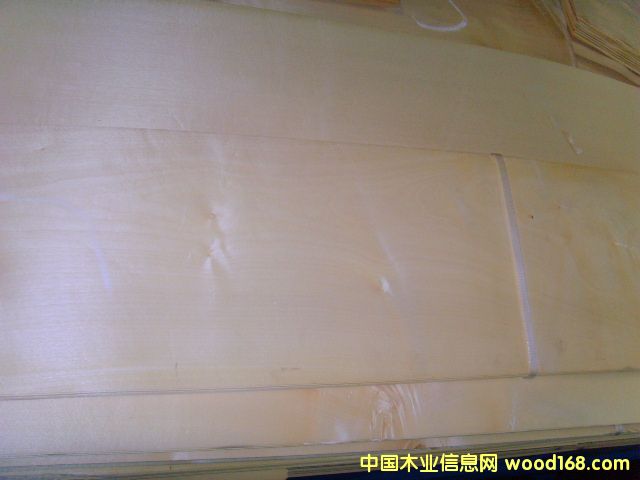 0.6�W��ɽ�y��Ԕ��(x��)��B