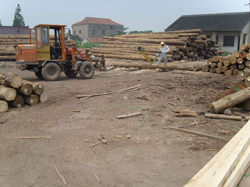 ����ľ�����۵�Ԕ��(x��)��B