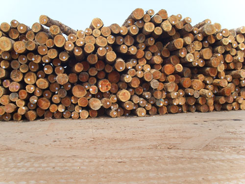 ����ľ��ԭľ��Ԕ��(x��)��B