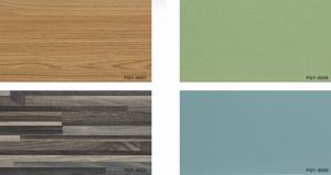 ���B(t��i)��DƬ2��Ԕ����B