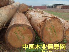 ����˹ԭľ��B+��(j��)��Ԕ��(x��)��B