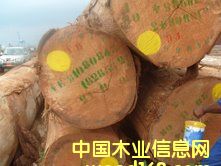 ����˹ԭľ��B+��(j��)��Ԕ��(x��)��B