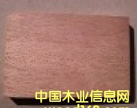 �N����Ԕ��(x��)��B