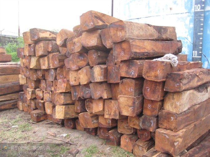 �������Ԕ����B