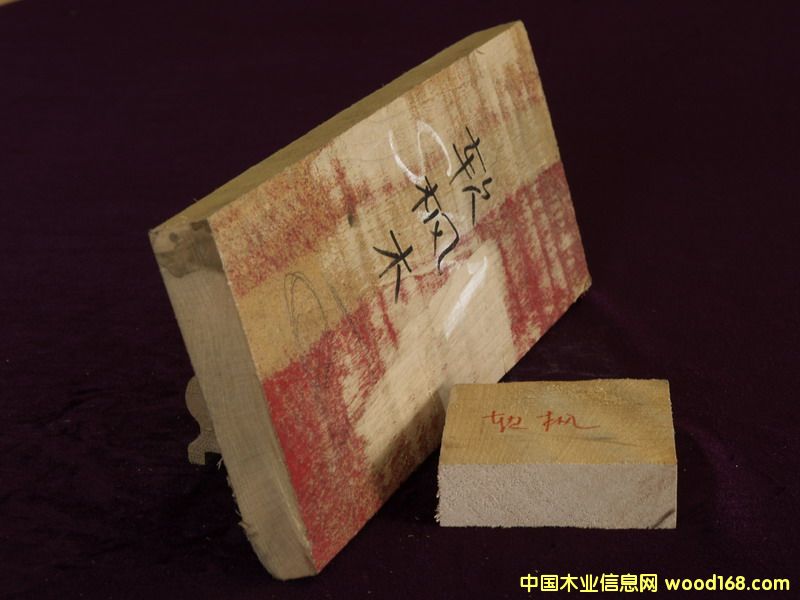 FSCܛ��ľ��Ԕ��(x��)��B