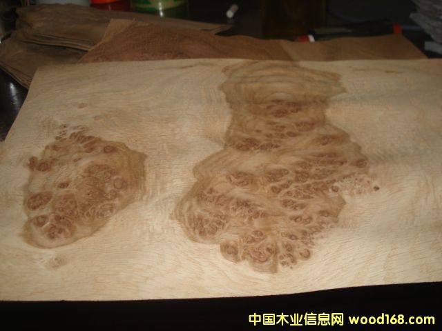 0.6���������Ԕ��(x��)��B