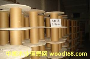 �zľ�P55��Ԕ��(x��)��B