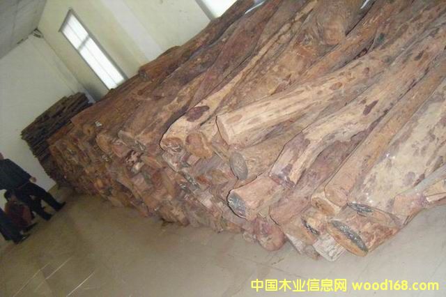 Խ���S����ľ��Ԕ����B