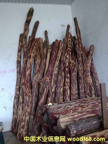 ӡ��С�~��̴ľ��Ԕ����B