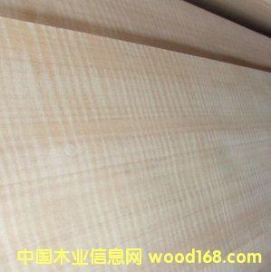 ����ľƤ���Fϵ�С�0.6�tӰ