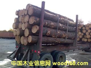 �Ϸ���ԭľ��Ԕ��(x��)��B