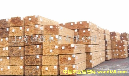 �Fɼ��Ԕ����B