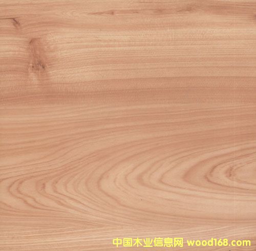 9691��Ԕ��(x��)��B