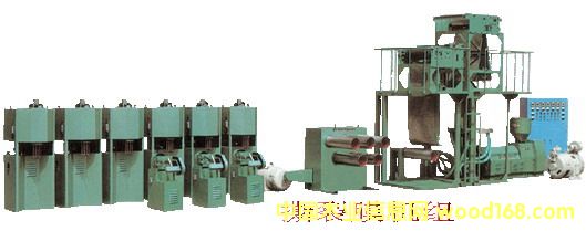 ��Ĥ���z�C(j��)