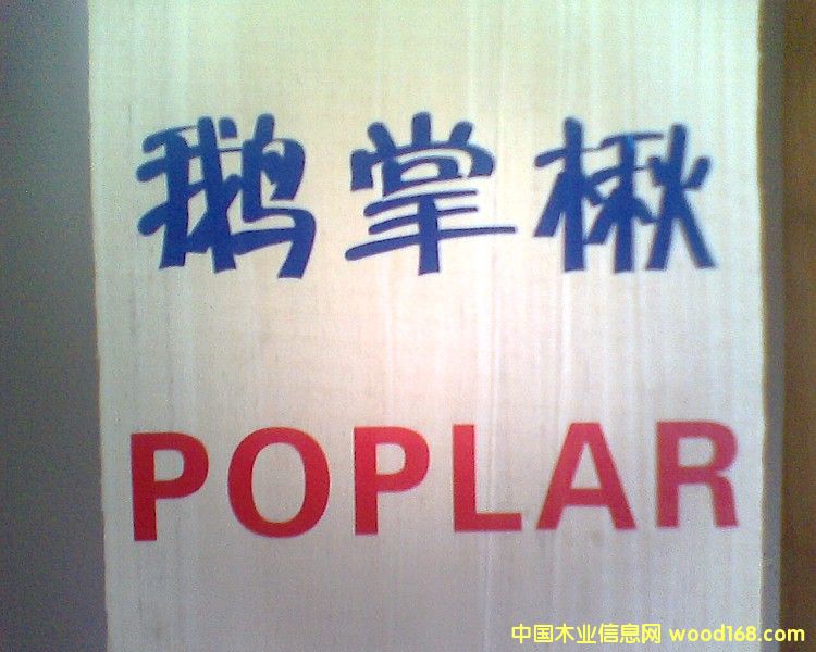 �����S��ľ��ɰ�ĵ�Ԕ��(x��)��B