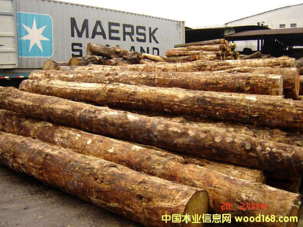 ݗ���ɵ�Ԕ����B