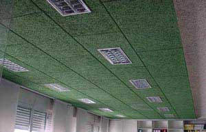 ����(y��ng)��Ȼ��ľ�z������01