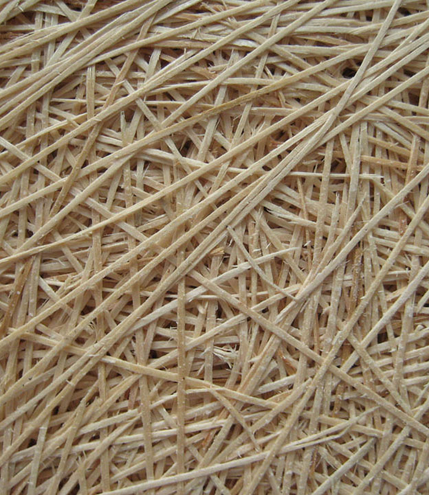 ����(y��ng)��Ȼ��ľ�z������