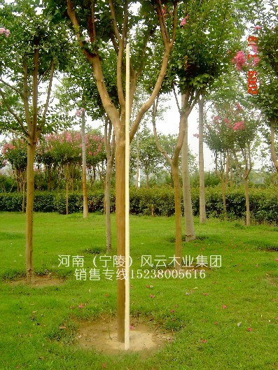 һ��(j��)Ʒ--ȫ�SƤ̫�O��Uʮ���U��Ϟ���U�L(zh��ng)4.0��