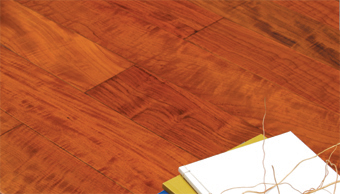 ɭ��֮������ľ��(sh��)ľ��?z��)�ذ?-�OƷ����Ӱ��Ԕ��(x��)��B