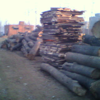 ��ͩľҎ(gu��)����Ԕ��(x��)��B