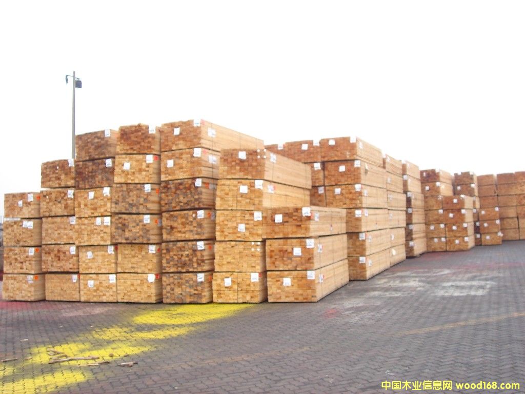 ľ��-��ľ��Ԕ��(x��)��B