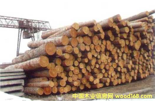 ľ��-ԭľ��Ԕ��(x��)��B