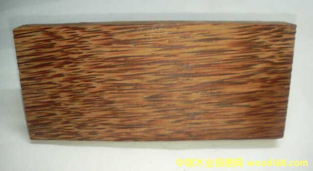 ����ľ��Ԕ��(x��)��B