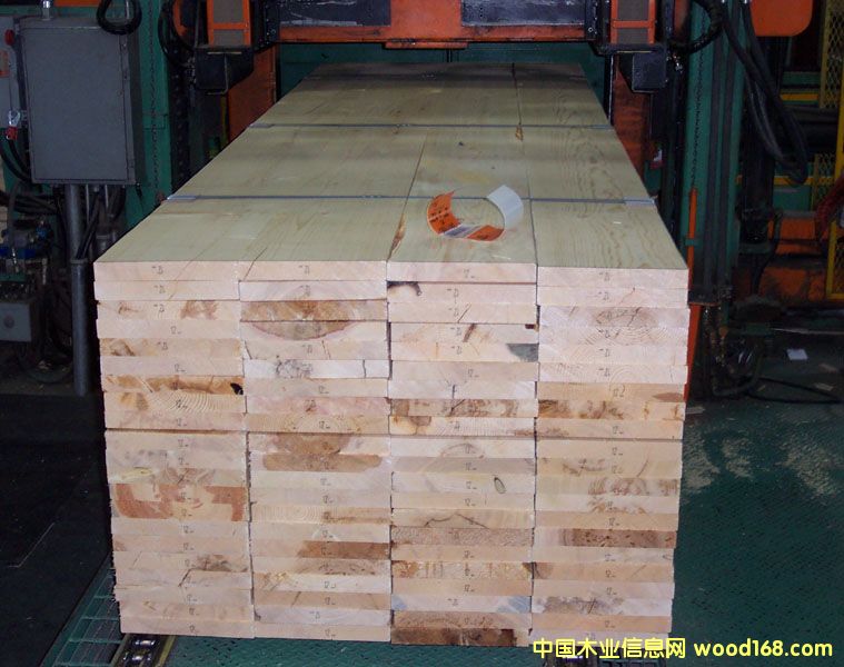 SPF 3��(j��)��Ԕ��(x��)��B