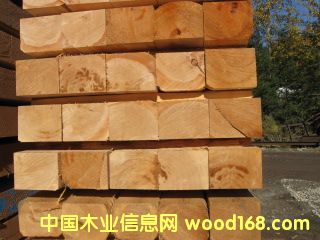 �Fɼ�� 1��(j��)��Ԕ��(x��)��B