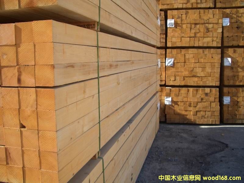 �Fɼ��Ԕ��(x��)��B