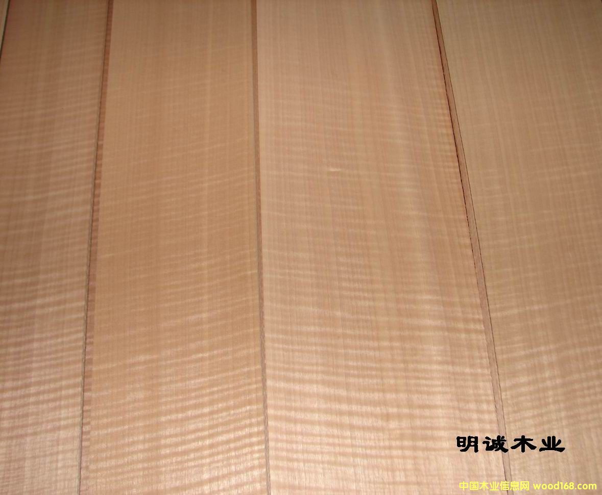 �tӰ��Ԕ��(x��)��B