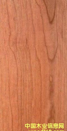 FSC����ľ��Ԕ����B