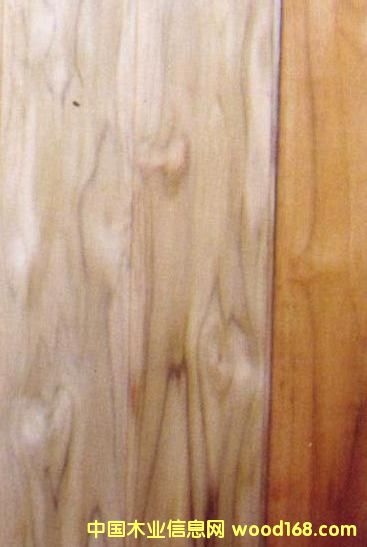 FSC��ľ��Ԕ����B