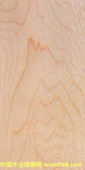 FSCӲ����Ԕ����B