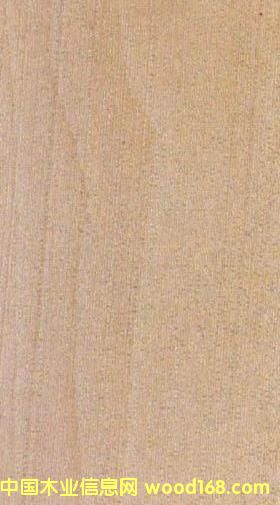 FSC��ͩľ��Ԕ����B