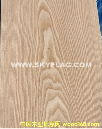 ����(y��ng)ľƤ��΢��ľ���ΰ�