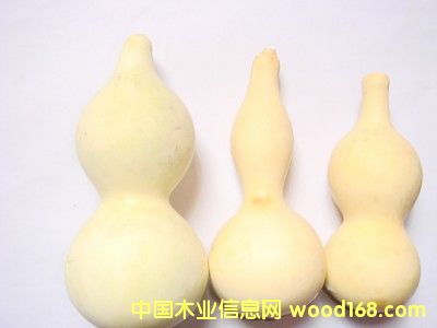 ľ��ˇƷ����Ư�ׄ�