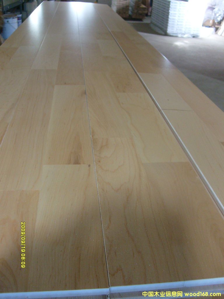 �w���ذ��Ԕ��(x��)��B