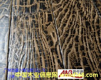 ���m�ųǵ�Ԕ��(x��)��B