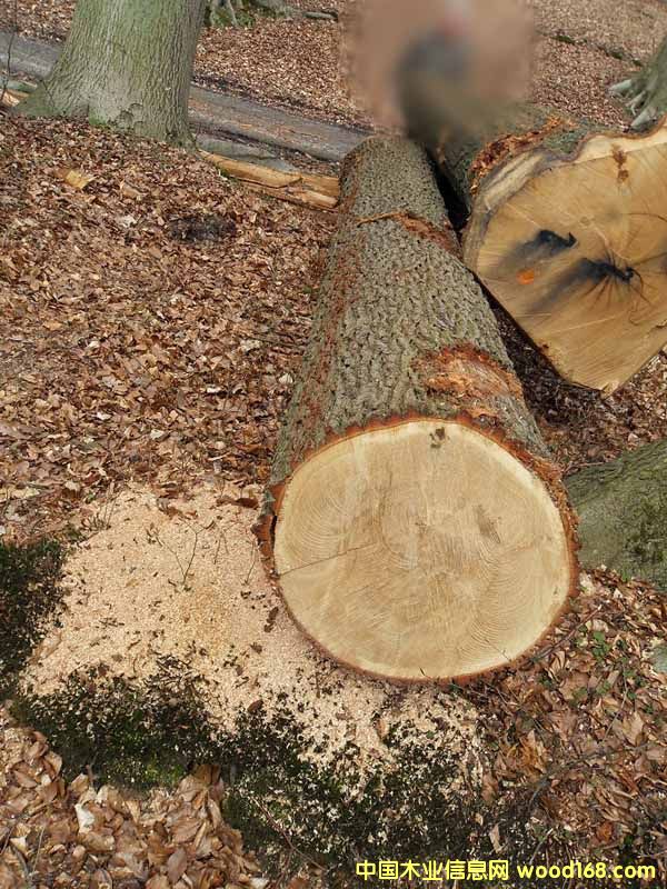 �������е�Ԕ��(x��)��B