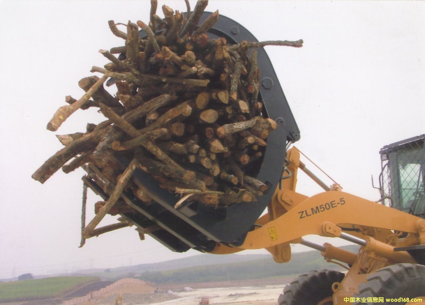 �S�ּ��F��50ץ��Ԕ����B