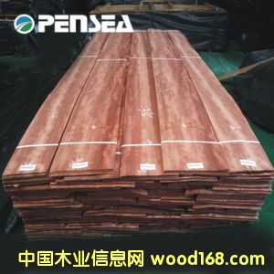 ��Ӱ������ľƤ